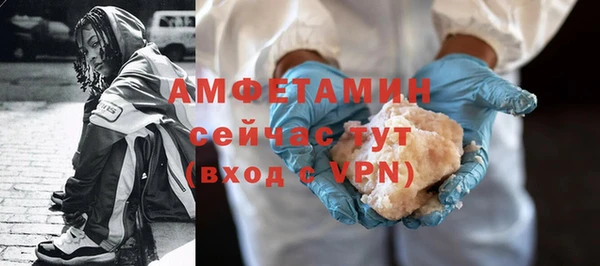 шишки Елизово