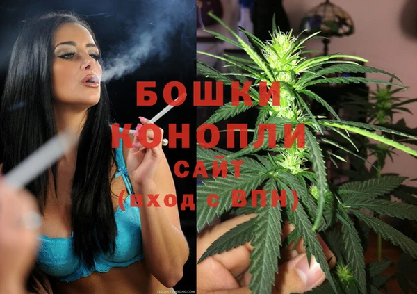 бошки Елабуга