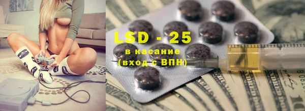 прущие грибы Ельня