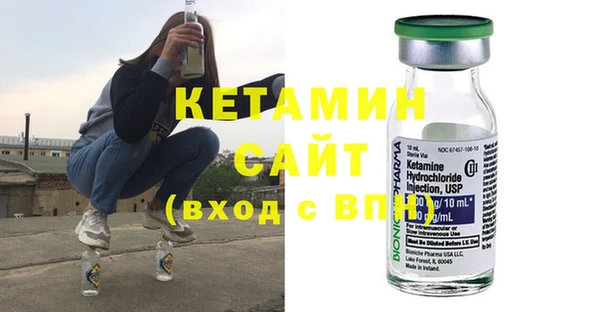 прущие грибы Ельня