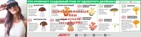 бошки Елабуга
