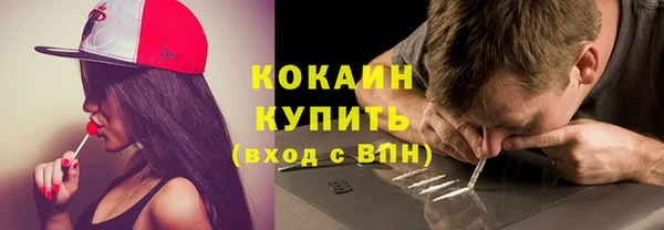 шишки Елизово