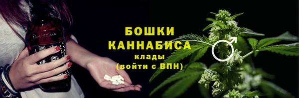 шишки Елизово