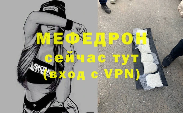 прущие грибы Ельня