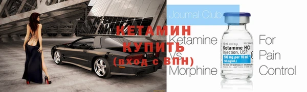 прущие грибы Ельня