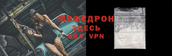 прущие грибы Ельня