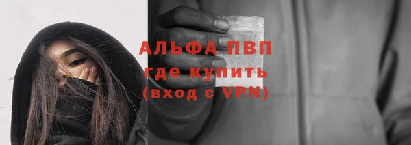 прущие грибы Ельня