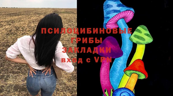 бошки Елабуга