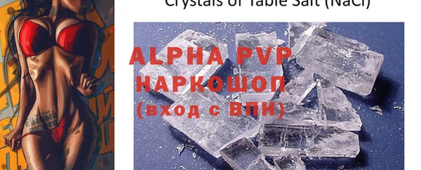 прущие грибы Ельня