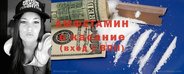 шишки Елизово