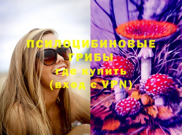 шишки Елизово