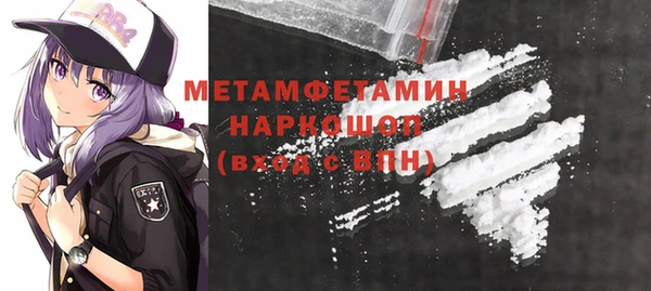 прущие грибы Ельня