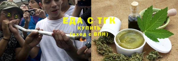 прущие грибы Ельня