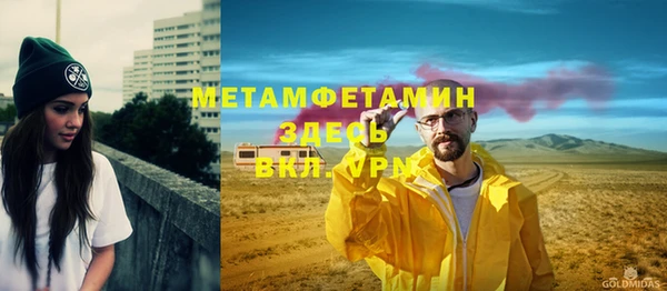 прущие грибы Ельня