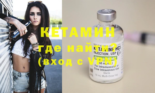 шишки Елизово